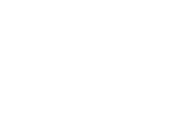 Zoy